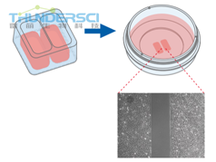 QQ&aring;?&frac34;&ccedil;??20190318144906 &aring;?&uml;&auml;&cedil;?&aring;??&aelig;?&para;&eacute;?&acute;&ccedil;?&sup1;&aelig;??&ccedil;?&sect;&aelig;?&yen;&ccedil;??&aelig;&micro;?&ccedil;&raquo;?&egrave;??&egrave;&iquest;?&ccedil;&sect;&raquo;.png